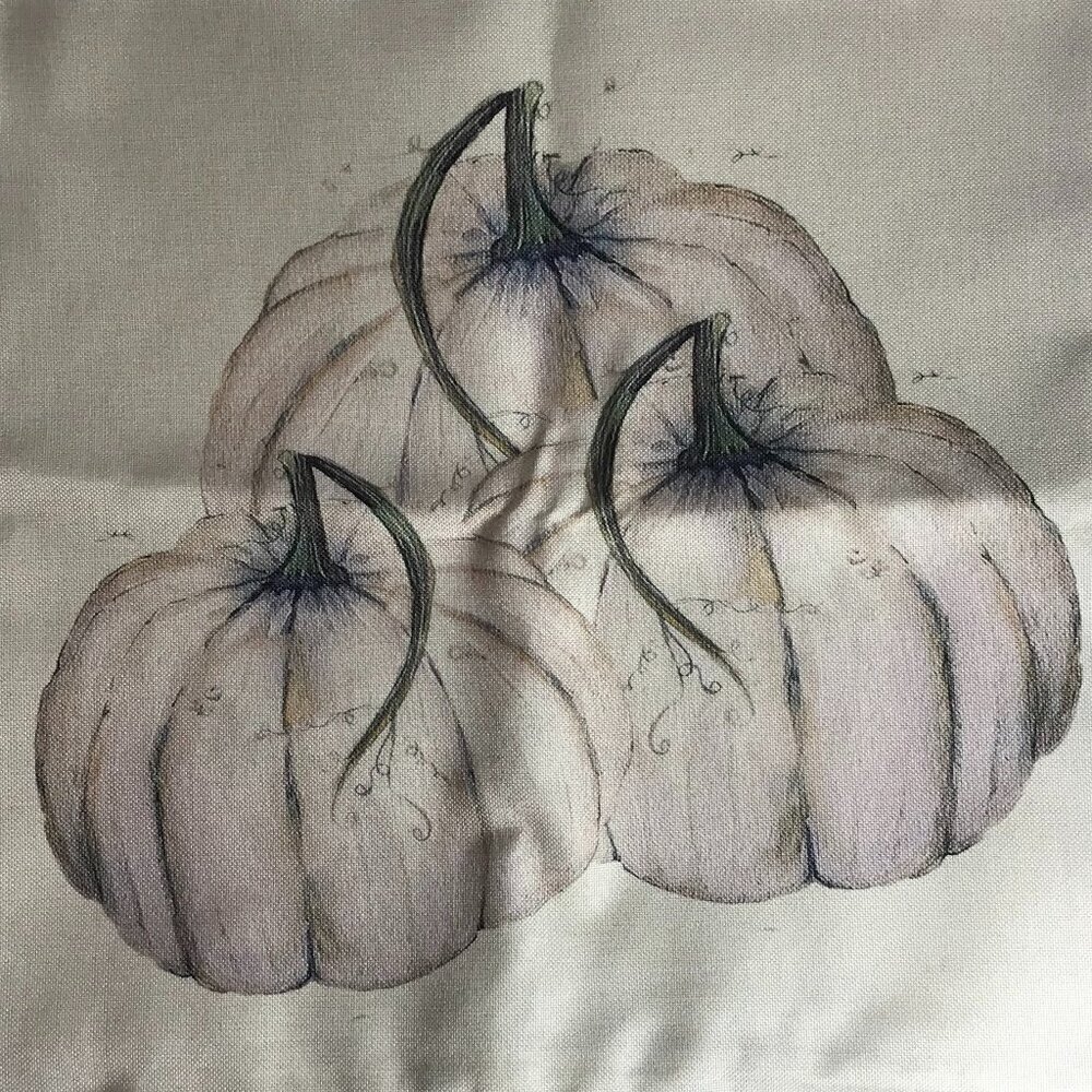 NWOT Pumpkin Fall Thanksgiving Halloween Pillow cover for 16"x16" pillow - Picture 1 of 10